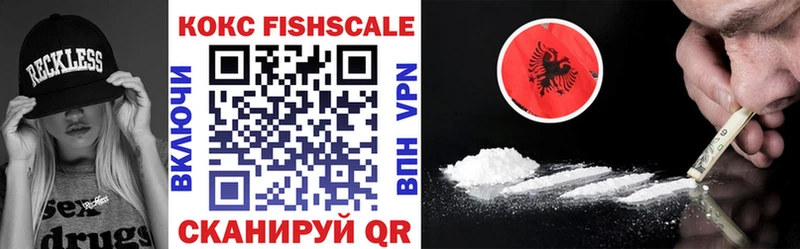 Cocaine Fish Scale  Купить закладки  Севск 