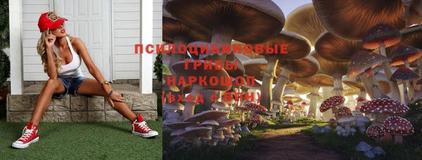 дурь Богданович