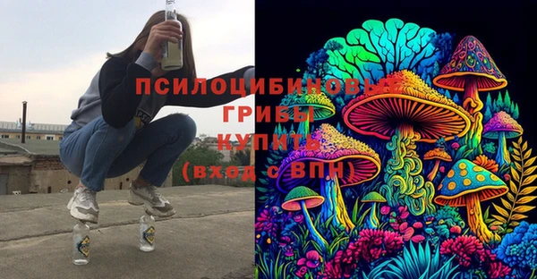 a pvp Богородицк
