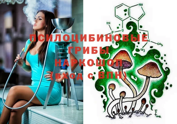 дурь Богданович