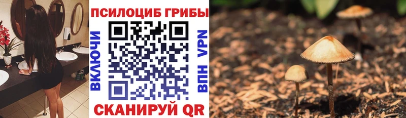 Псилоцибиновые грибы ЛСД  Купить  Севск 